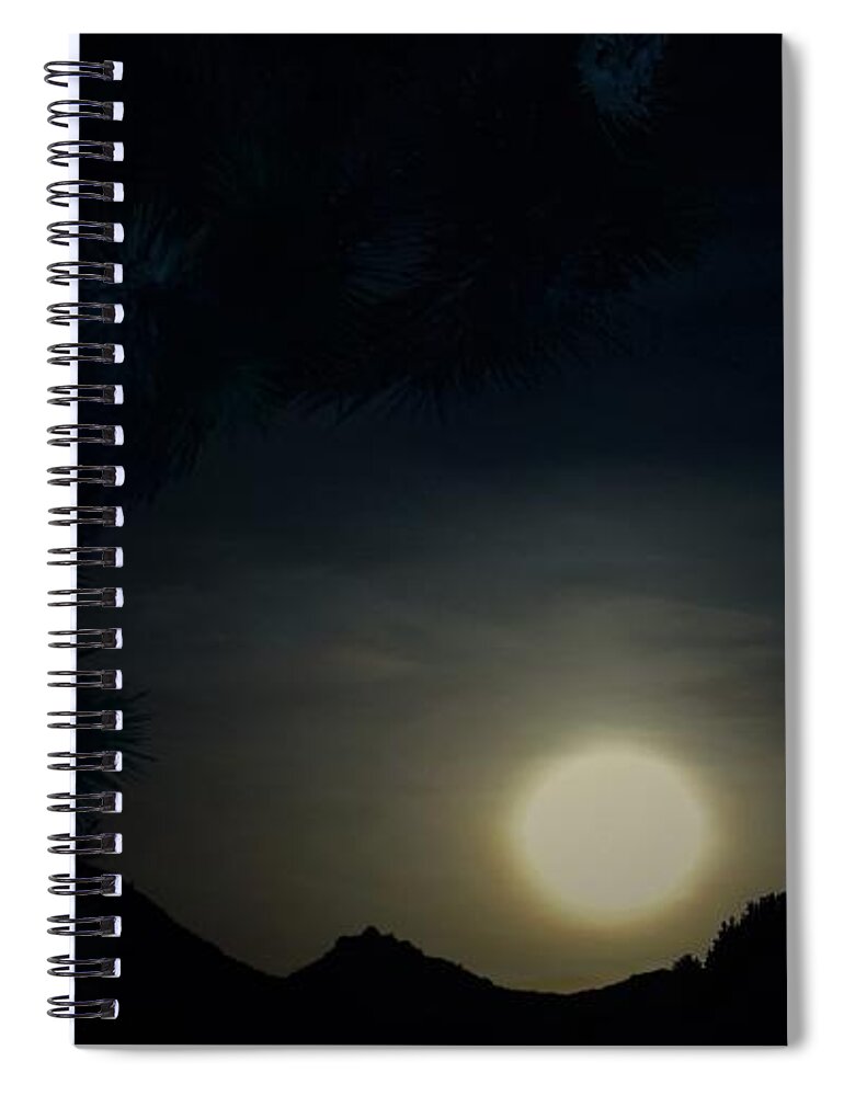 Yucca Valley California Spiral Notebook featuring the photograph Y Town My Town by Angela J Wright