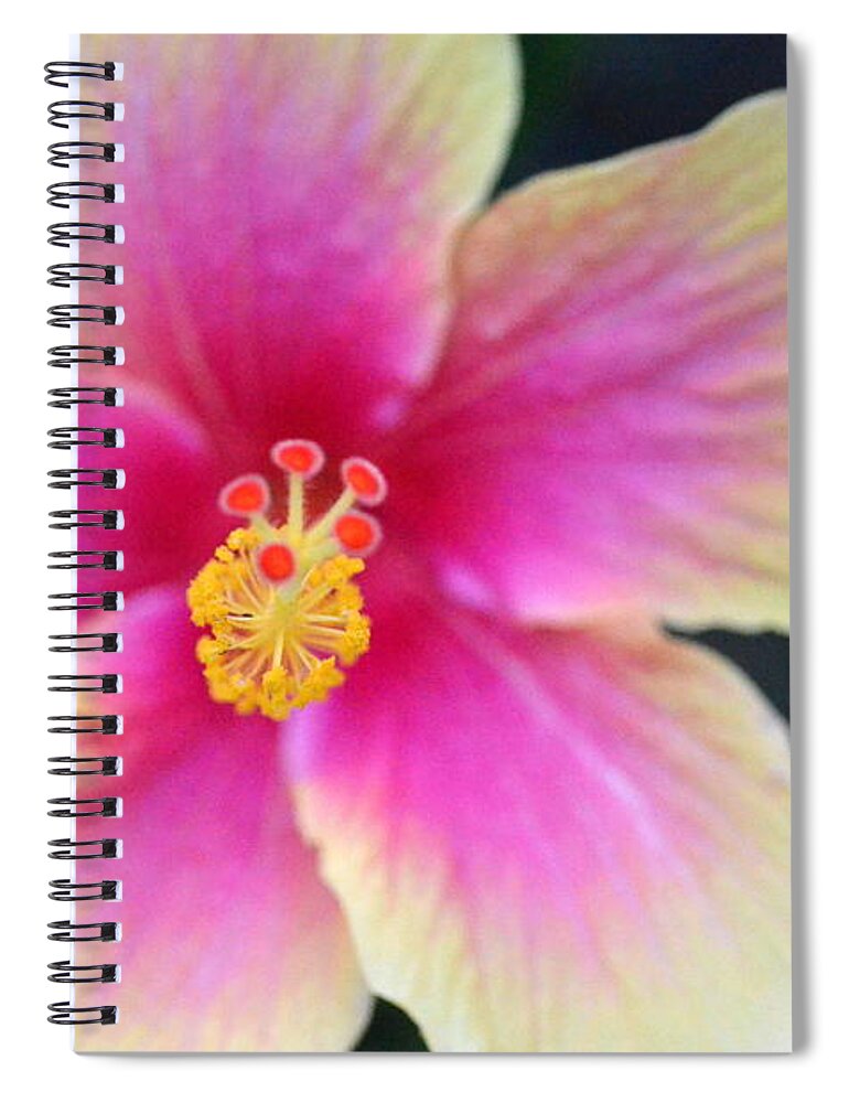 Flower Spiral Notebook featuring the photograph Yellow and Pink Hibiscus 2 by Amy Fose