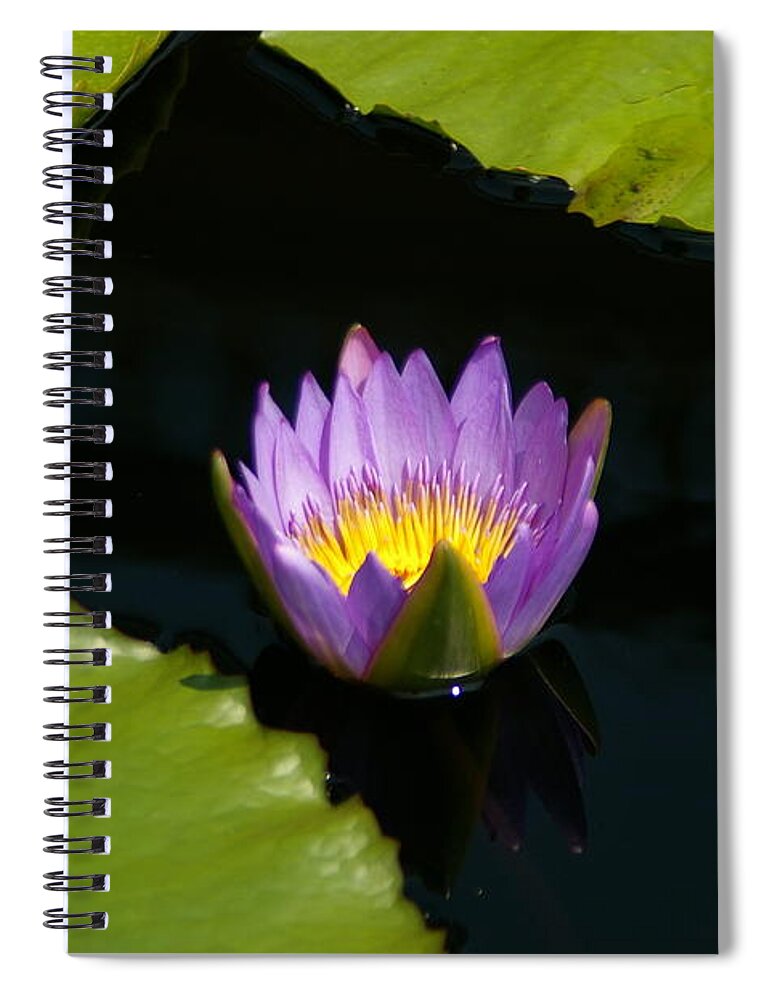 Yellow Spiral Notebook featuring the photograph Yellow and Purple Lotus Waterlily and Lily Pads by Jackie Irwin