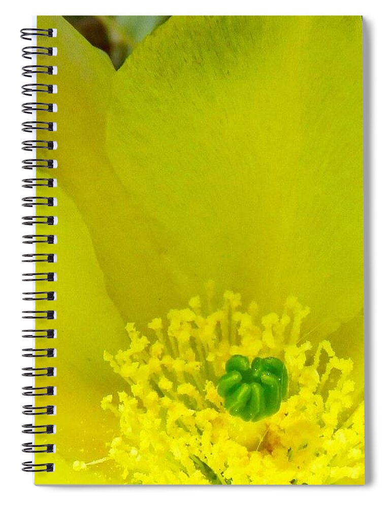  Arizona Spiral Notebook featuring the photograph Yellow Bloom 1 - Prickly Pear Cactus by Judy Kennedy
