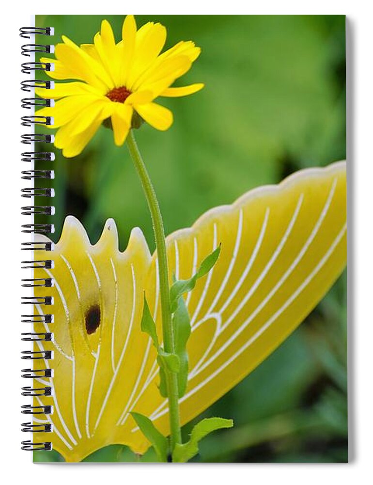 Butterfly Spiral Notebook featuring the photograph Yellow Butterfly by Merle Grenz