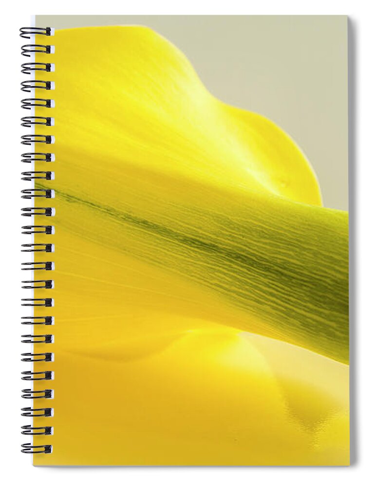 Anniversary Spiral Notebook featuring the photograph Yellow Calla Lily Reflection by Teri Virbickis
