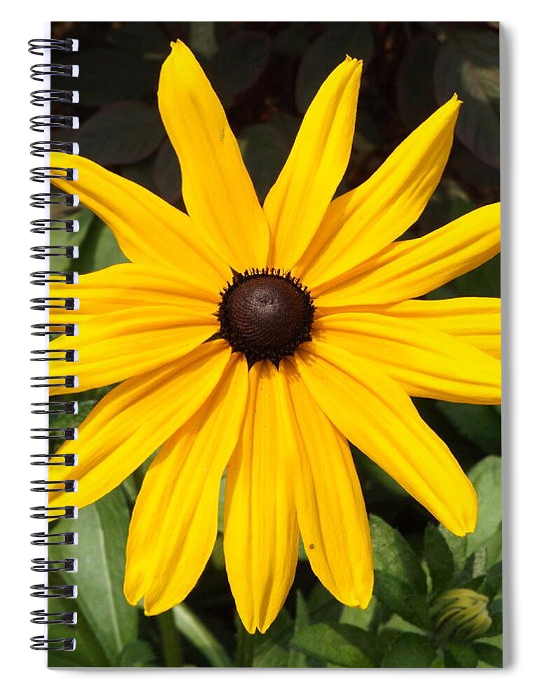 Yellow Spiral Notebook featuring the photograph Yellow Flower by Erick Schmidt