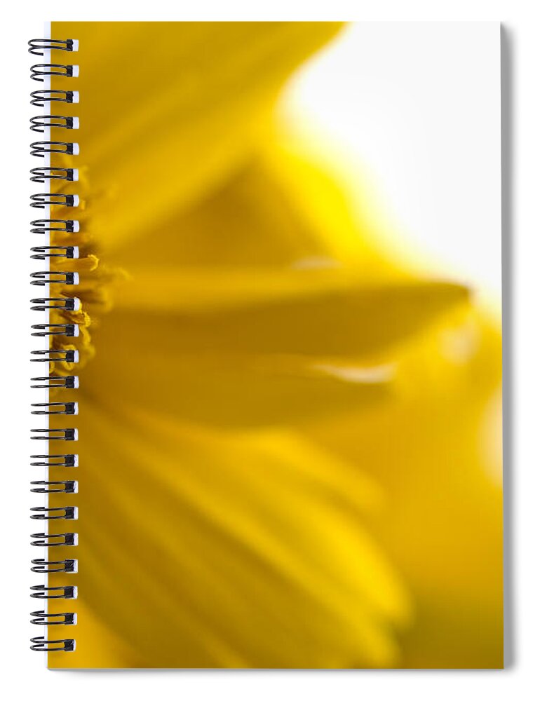 Flower Spiral Notebook featuring the photograph Yellow Flower by Jessica Wakefield