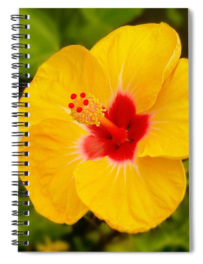Hibiscus Spiral Notebook featuring the photograph Yellow Hibiscus by Mike McGlothlen