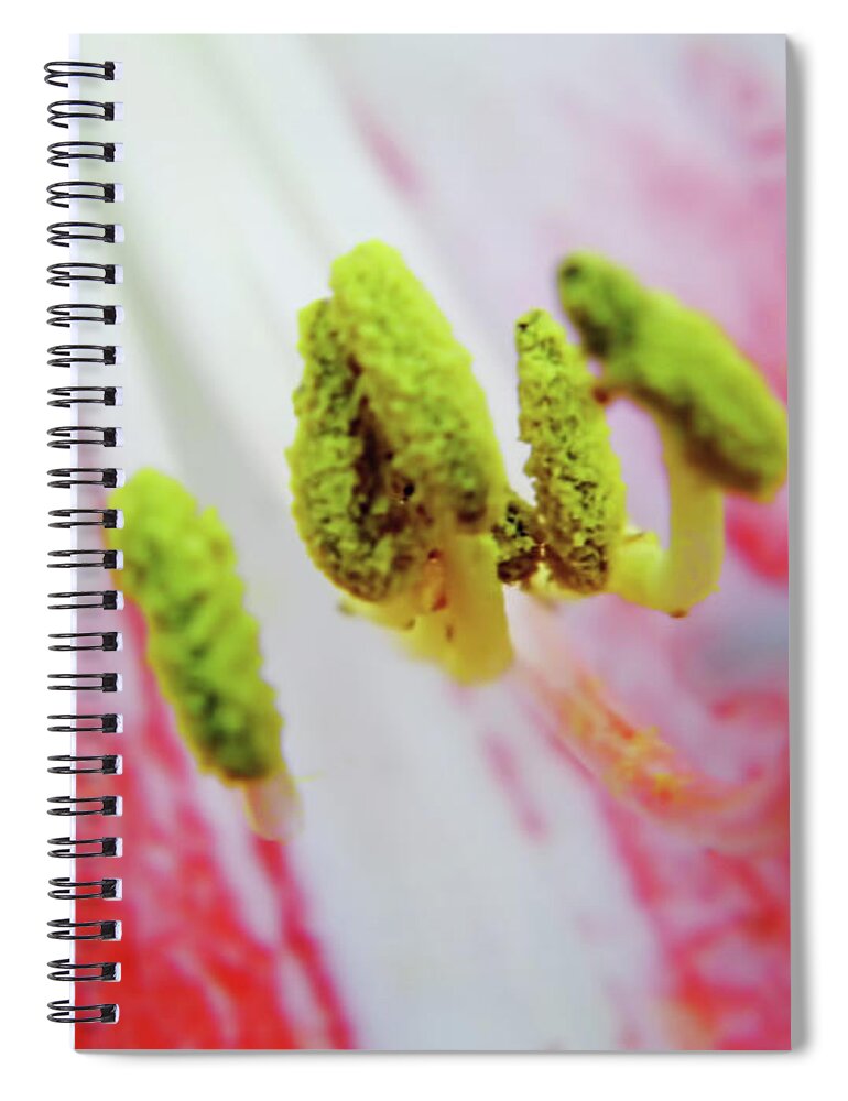 Pollen Spiral Notebook featuring the photograph Yellow - Flower - Pollen by D Hackett