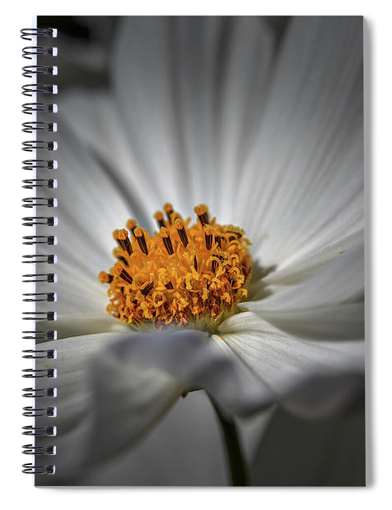 Yellow Hart Spiral Notebook featuring the photograph Yellow Hart #h8 by Leif Sohlman