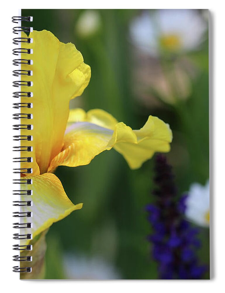 Flower Spiral Notebook featuring the photograph Yellow iris in Spring Garden by Karen Adams