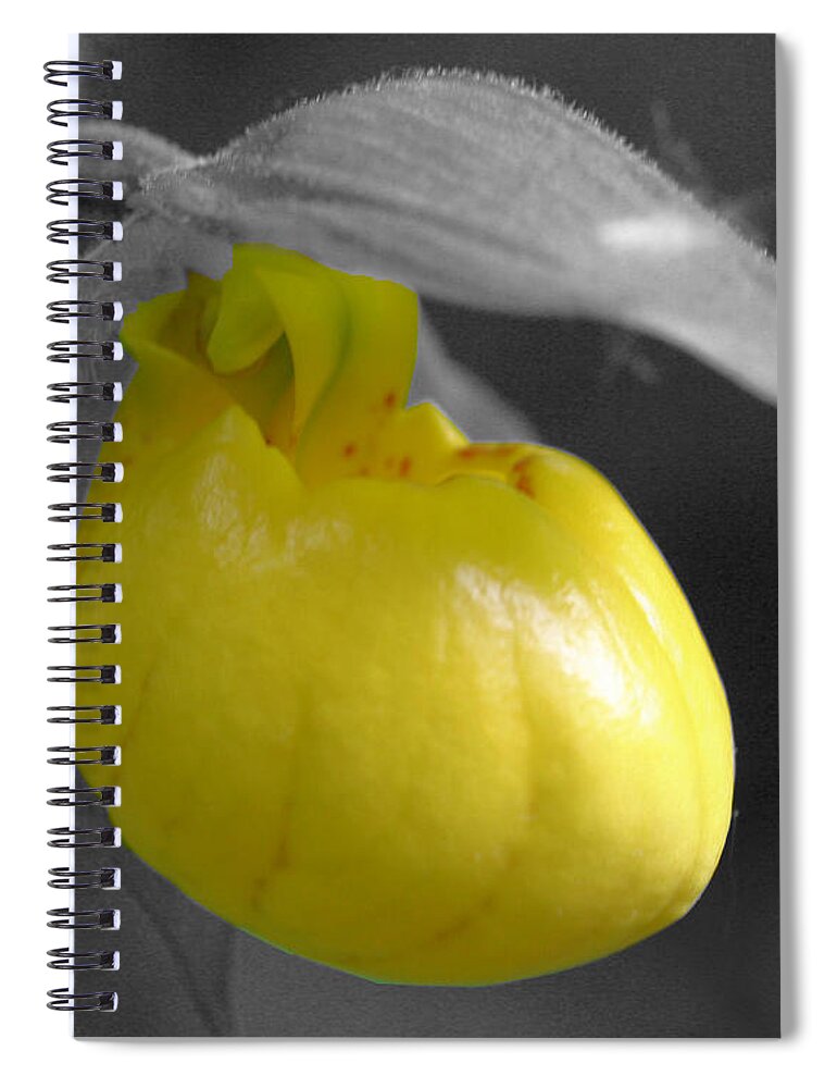 Lady Slipper Spiral Notebook featuring the photograph Yellow Lady Slipper Partial by Smilin Eyes Treasures