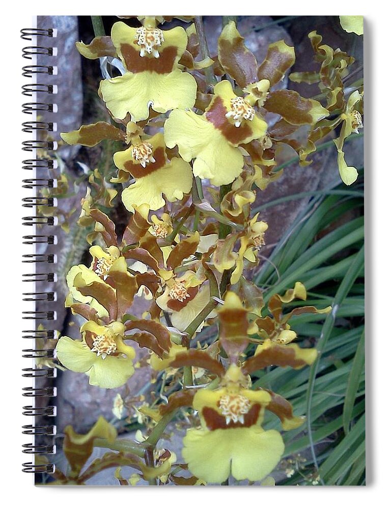 Yellow Spiral Notebook featuring the photograph Yellow Lane by Pamela Henry