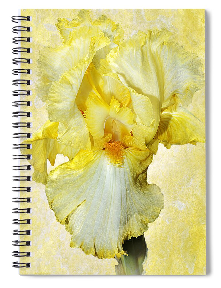 Iris Flower Spiral Notebook featuring the photograph Yellow Mist Iris by Phyllis Denton