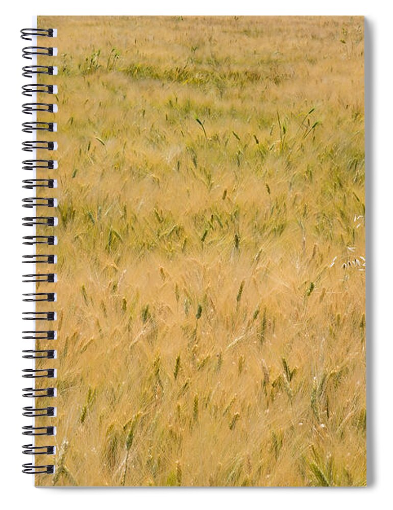 Abstract Spiral Notebook featuring the photograph Yellow nature abstract background by Michalakis Ppalis