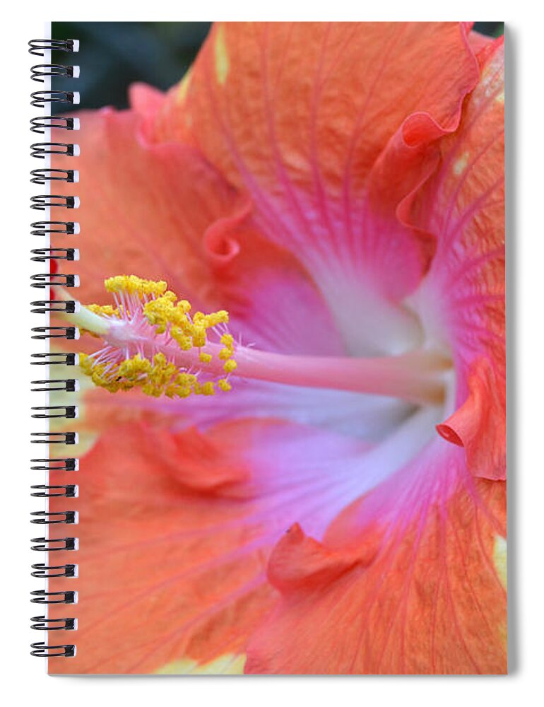 Flower Spiral Notebook featuring the photograph Yellow Orange Hibiscus by Amy Fose