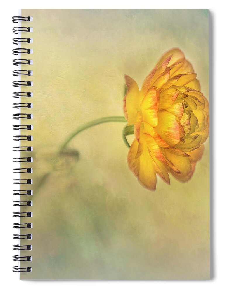Bloom Spiral Notebook featuring the photograph Yellow Ranunculus by David and Carol Kelly