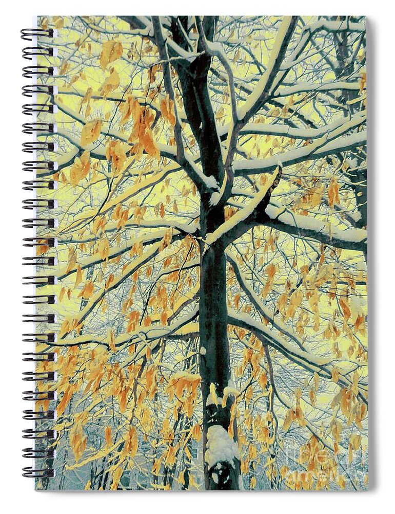 Marcia Lee Jones Spiral Notebook featuring the photograph Yellow Sky by Marcia Lee Jones