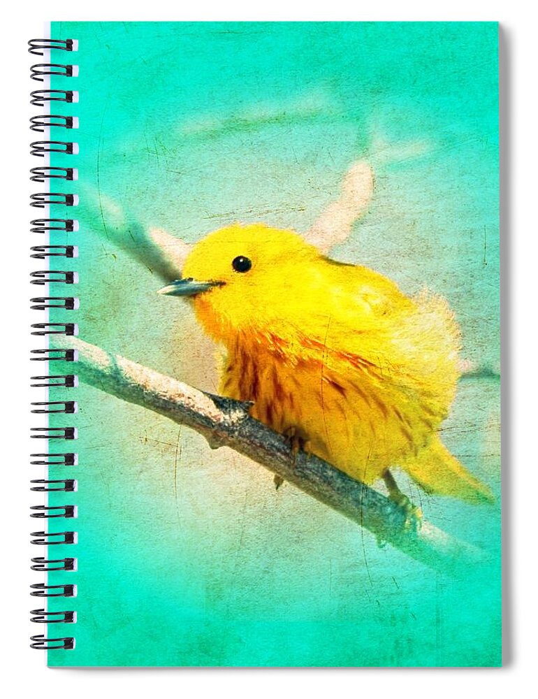 Small Birds Spiral Notebook featuring the photograph Yellow Warbler by John Wills