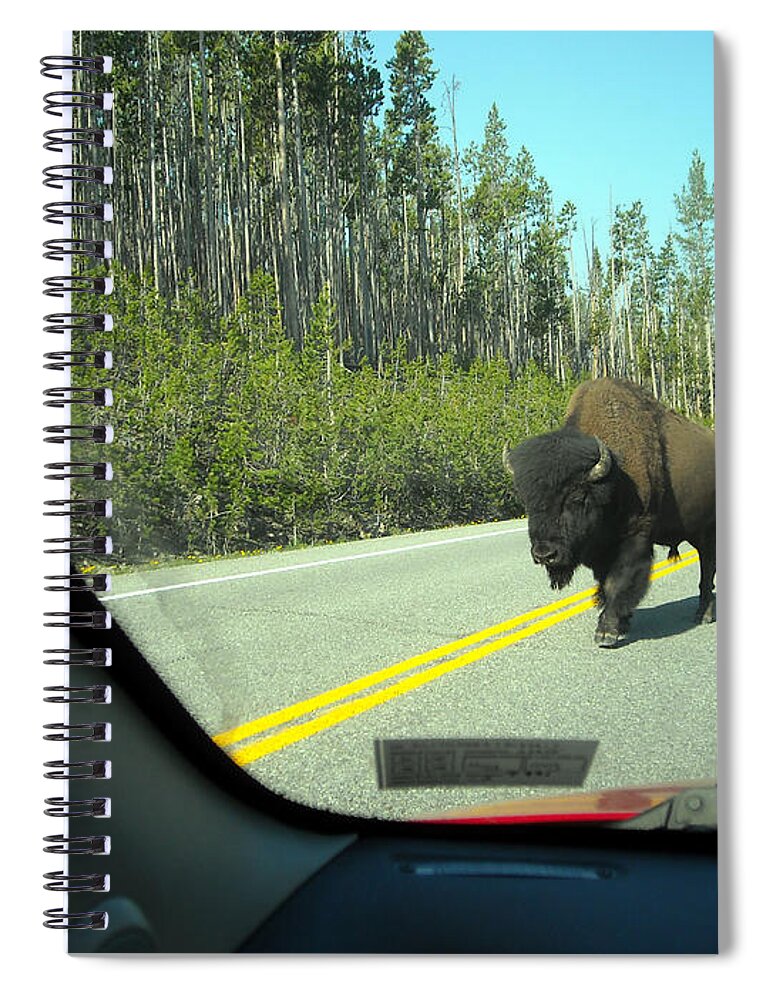 Bison Spiral Notebook featuring the photograph Yellowstone Traffic can be Dangerous by George Jones
