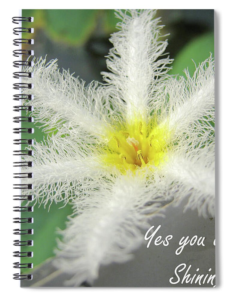 Flower Spiral Notebook featuring the photograph Yes you are a pure shining star by Heidi Sieber