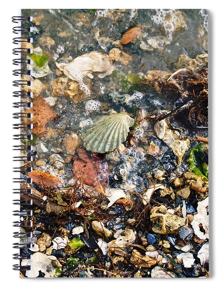 Shells Spiral Notebook featuring the photograph York Beach Shore by Lara Morrison