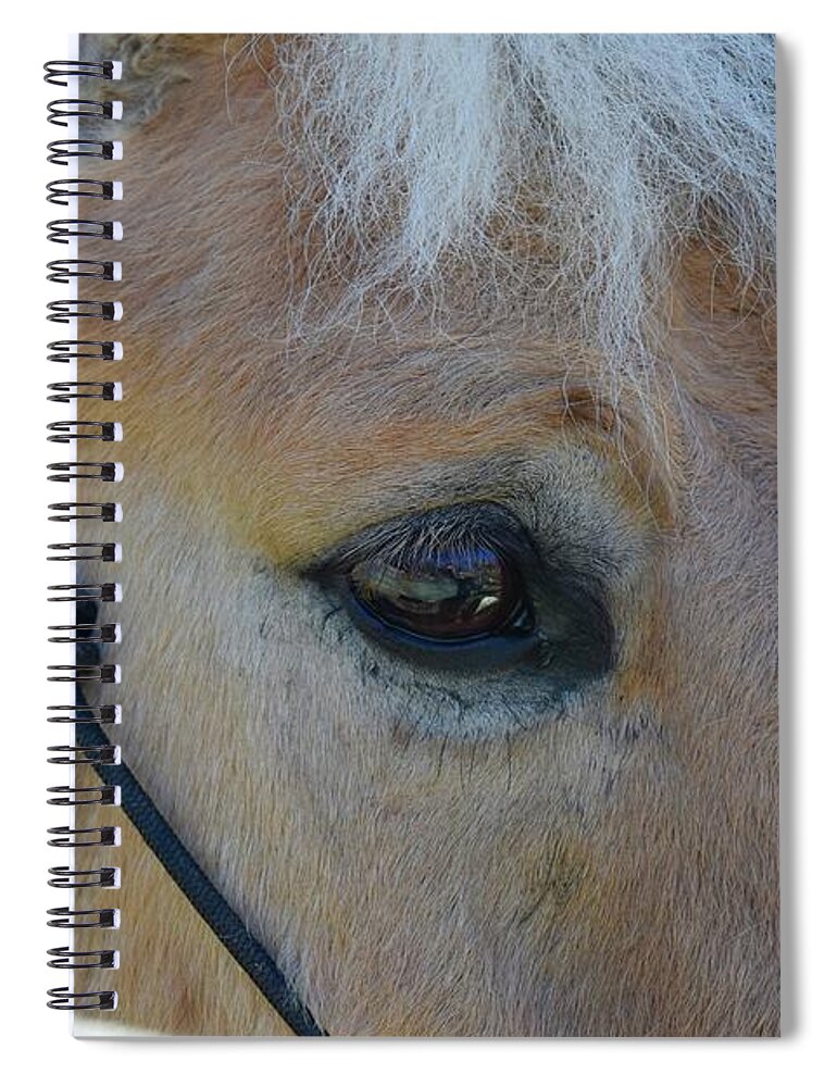 Barrieloustark Spiral Notebook featuring the photograph You Are Seen by Barrie Stark