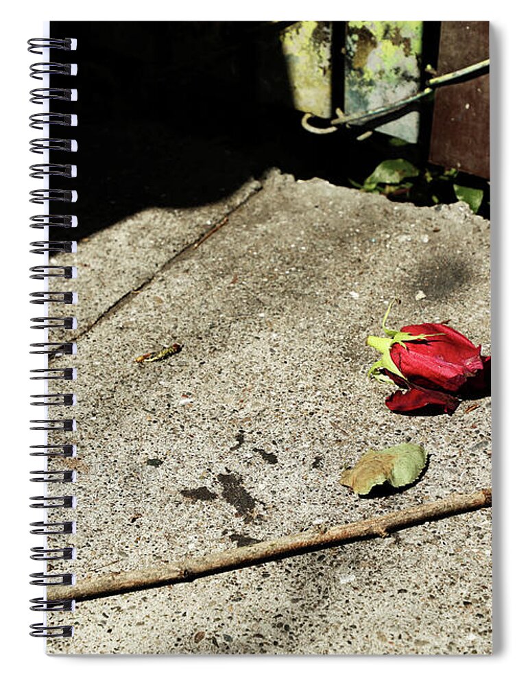Rose Spiral Notebook featuring the photograph You broke our Rose by J C