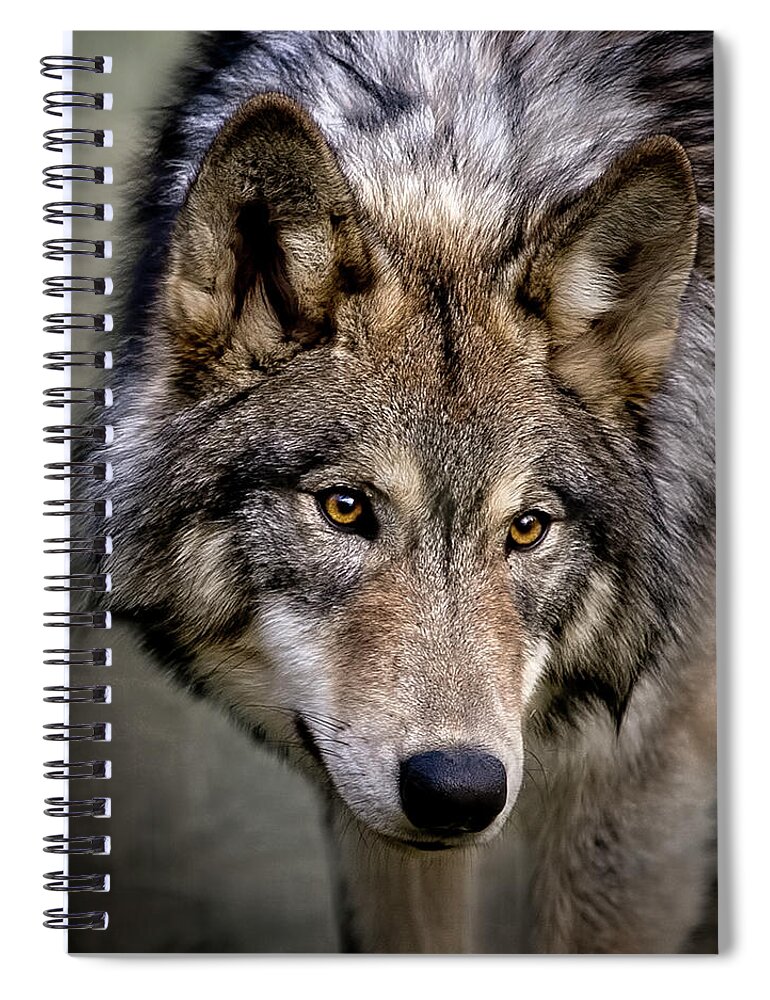 Young Wolf Spiral Notebook featuring the photograph Young Wolf by Wes and Dotty Weber