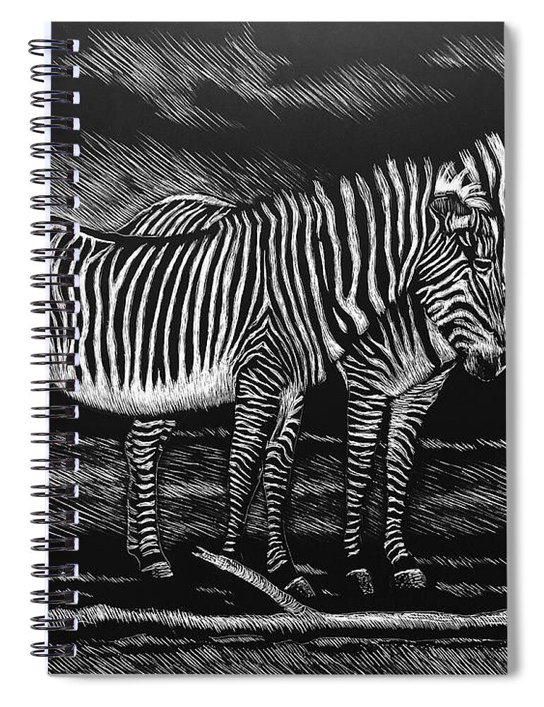 Art Spiral Notebook featuring the drawing Zebras by Dustin Miller