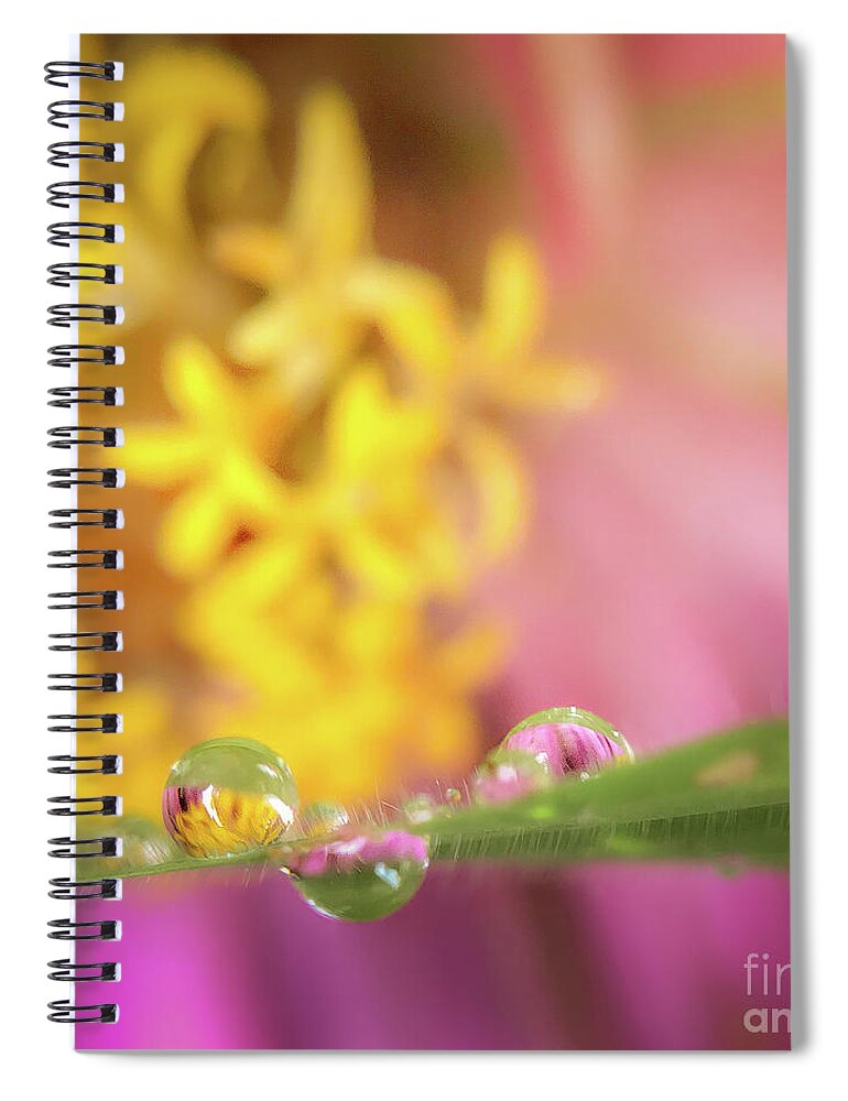 Rain Drop Spiral Notebook featuring the photograph Zenia Rain Drop Reflection by Peggy Franz