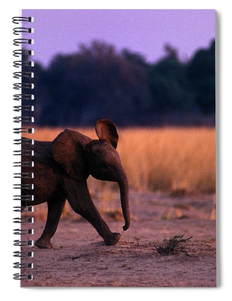 Baby Spiral Notebook featuring the photograph Zimbabwe_63-15 by Craig Lovell
