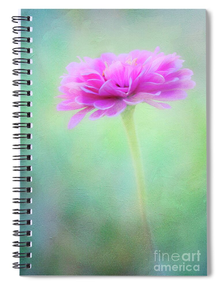 Zinnia Spiral Notebook featuring the photograph Painted Pink Zinnia by Anita Pollak