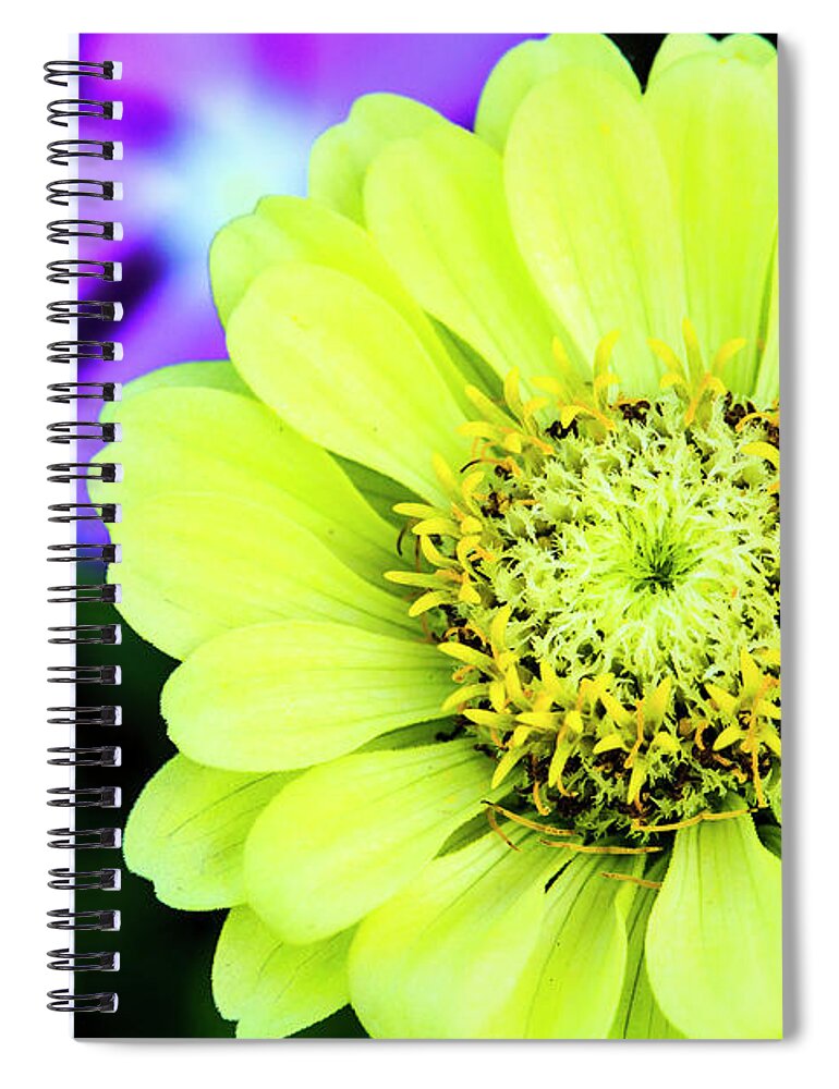 Zinnia Spiral Notebook featuring the photograph Zinnia Flower by Ben Graham
