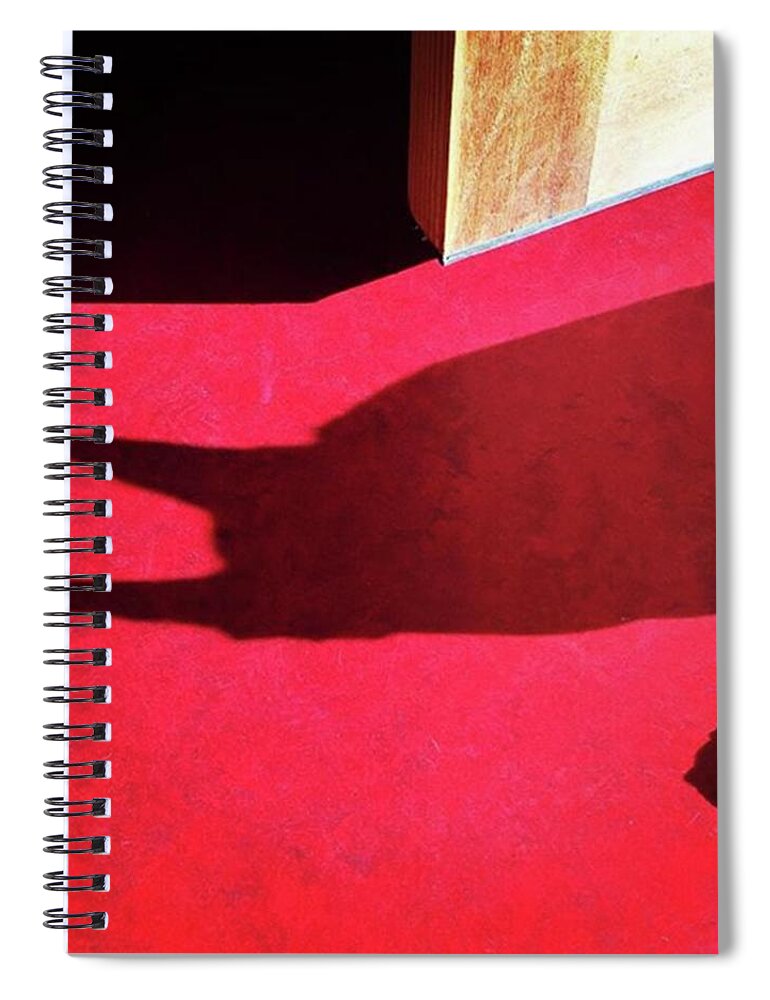 Dogsofinstagram Spiral Notebook featuring the photograph Zoe In The Afternoon Sun. #shadow by Ginger Oppenheimer