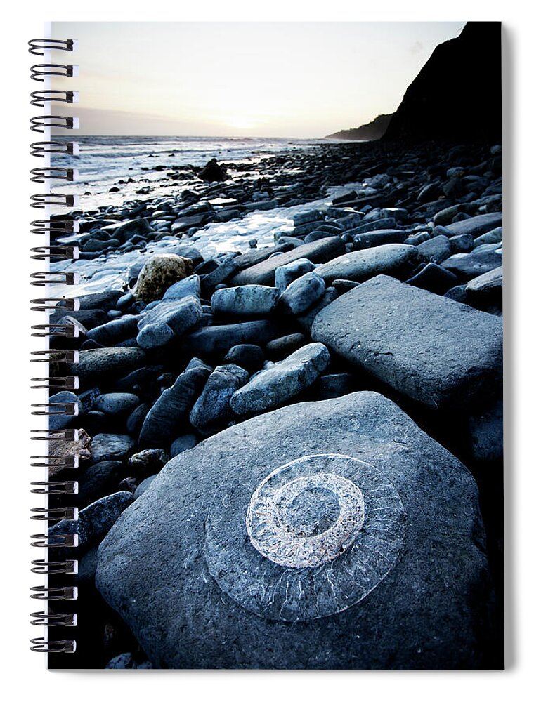 Water's Edge Spiral Notebook featuring the photograph Ammonite In Rock #1 by Urbancow