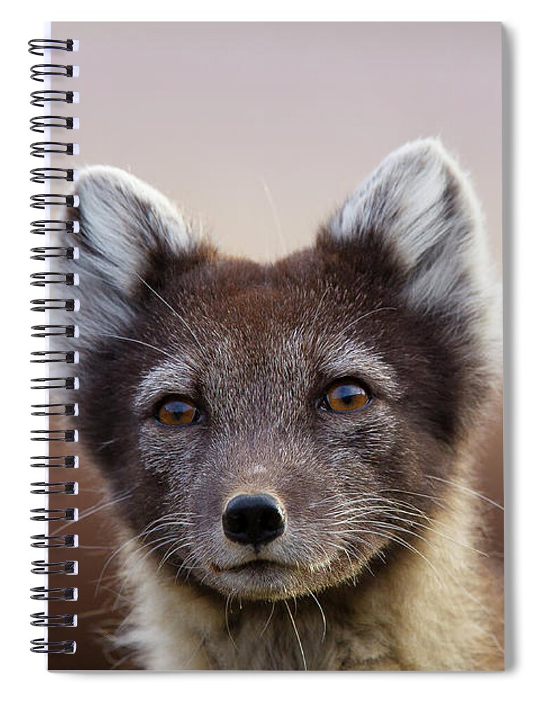 Svalbard Islands Spiral Notebook featuring the photograph Arctic Fox Vulpes Lagopus #1 by Mark Smith