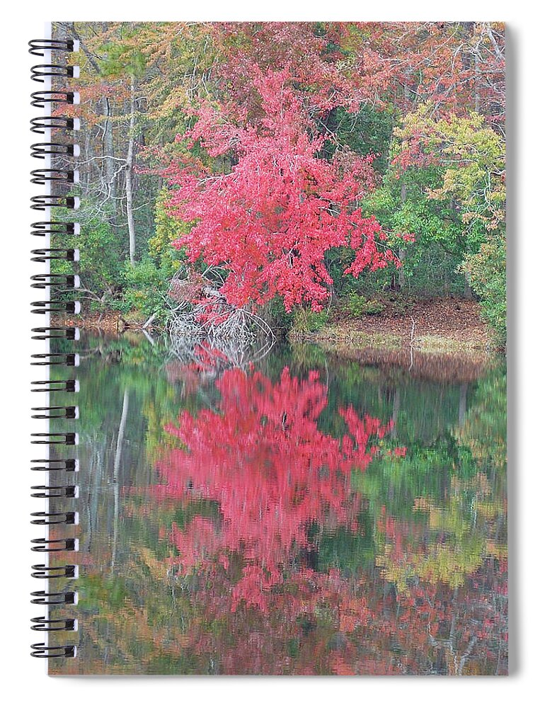 Pink Spiral Notebook featuring the photograph Autumn Pink #1 by Matthew Seufer
