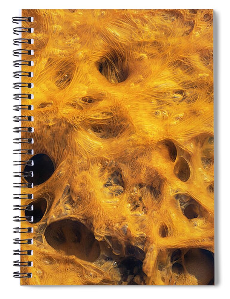 American West Spiral Notebook featuring the photograph Bacterial Growth In Thermal Spring #1 by Ivan Kuzmin