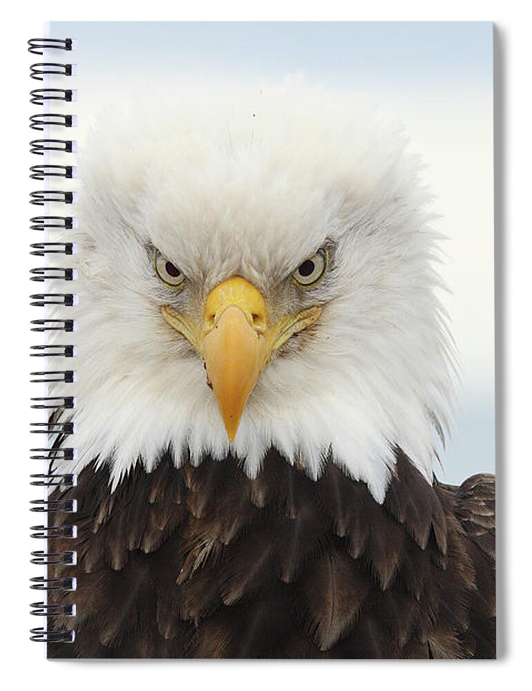 Alertness Spiral Notebook featuring the photograph Bald Eagle #1 by P. De Graaf