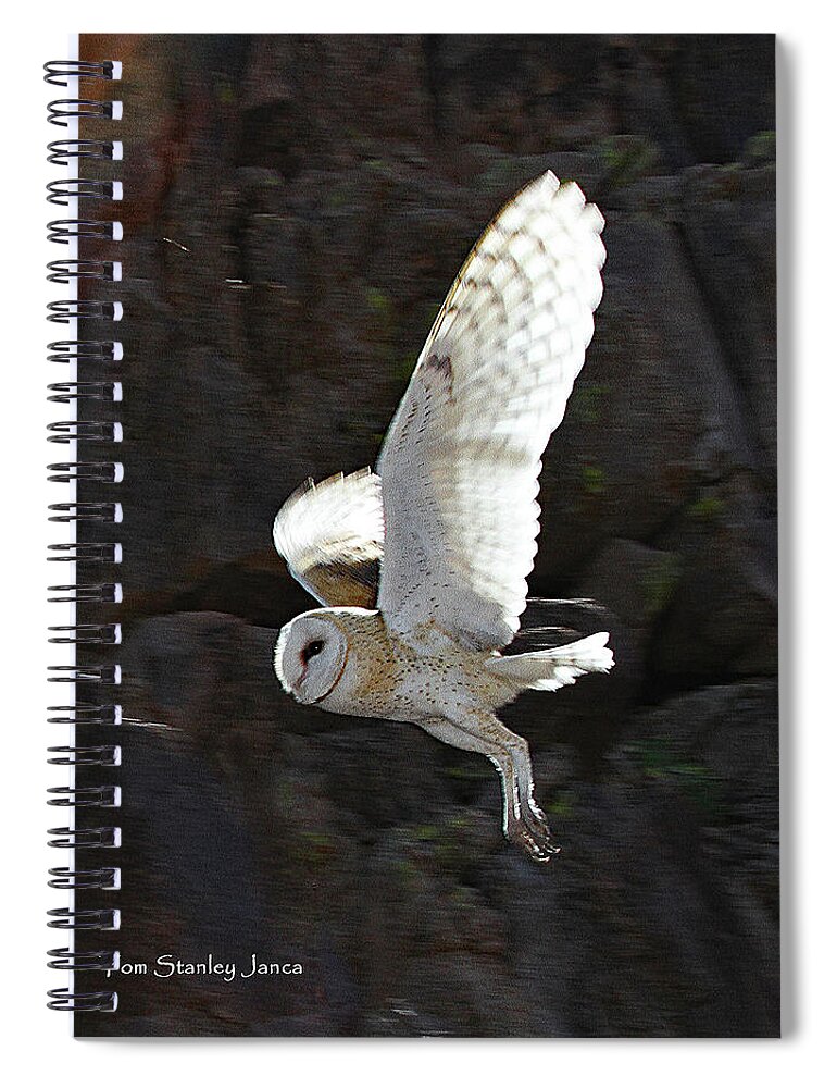 Barn Owl At My Gold Mine Spiral Notebook featuring the digital art Barn Owl At My Gold Mine #1 by Tom Janca