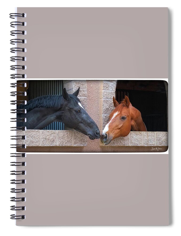 Horses Spiral Notebook featuring the photograph Best Friends #1 by Barbara Zahno