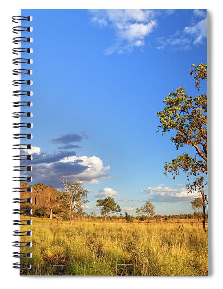 Grass Spiral Notebook featuring the photograph Boab Trees At The Windjana Gorge by Sara winter