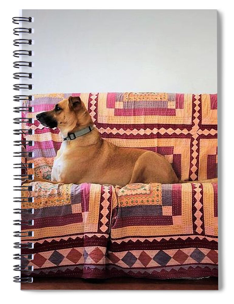  Spiral Notebook featuring the photograph Bruno #1 by FD Graham