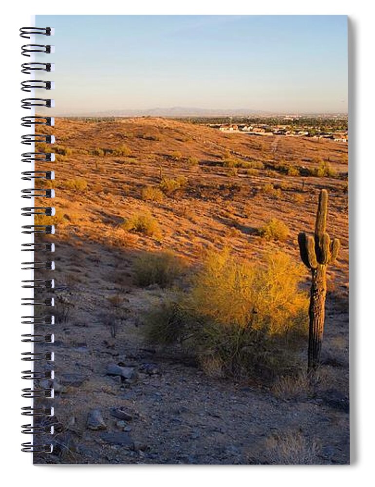 Cactus Spiral Notebook featuring the photograph C A C T U S #1 by Anthony Giammarino