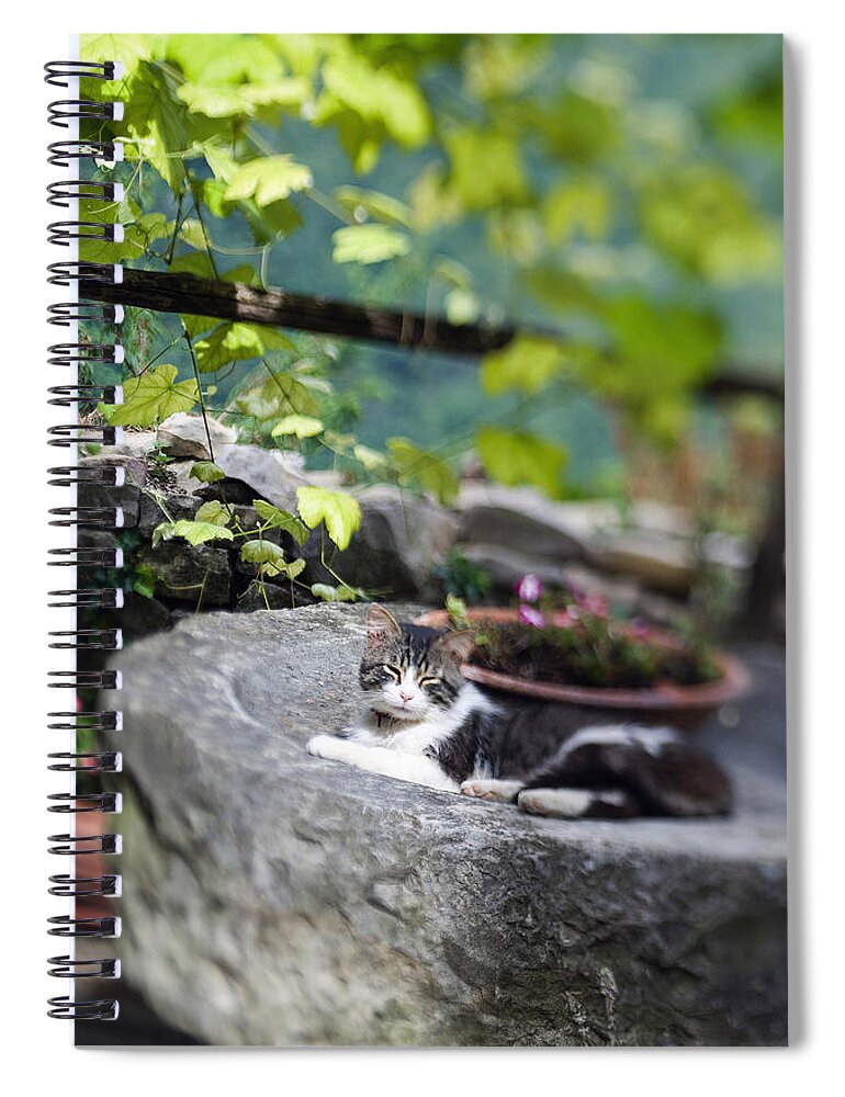 Estock Spiral Notebook featuring the digital art Cat #1 by Franco Cogoli