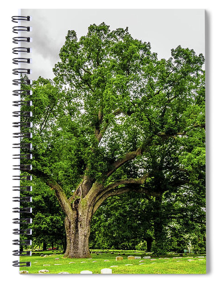 Centennial Oak Spiral Notebook featuring the photograph Centennial Oak, Salem Oak Tree by Louis Dallara