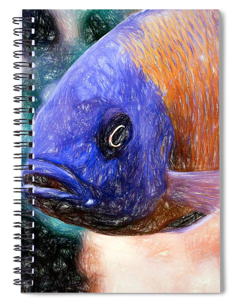 African Cichlid Spiral Notebook featuring the digital art Colored Pencil Red Fin Borleyi Cichlid #1 by Don Northup