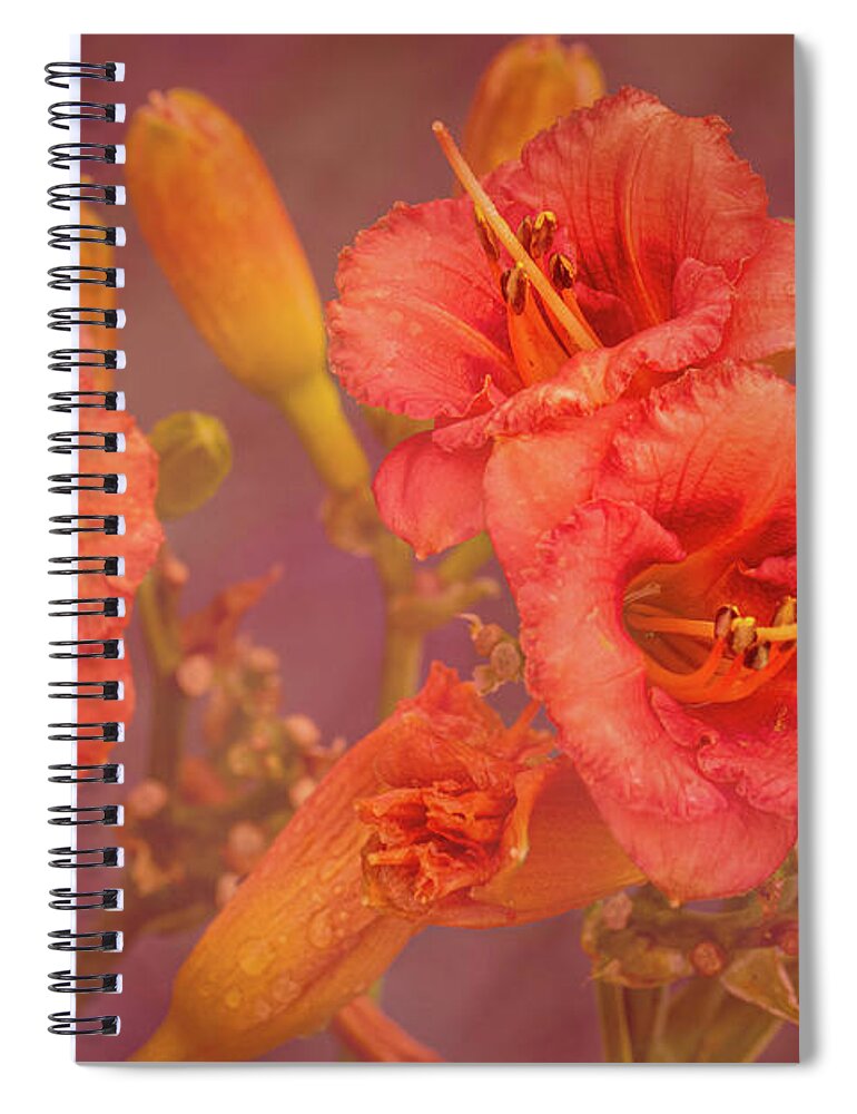 Flower Spiral Notebook featuring the photograph Colors of Summer by Allin Sorenson