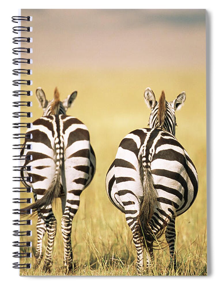 Plains Zebra Spiral Notebook featuring the photograph Common Zebra Behinds #1 by James Warwick
