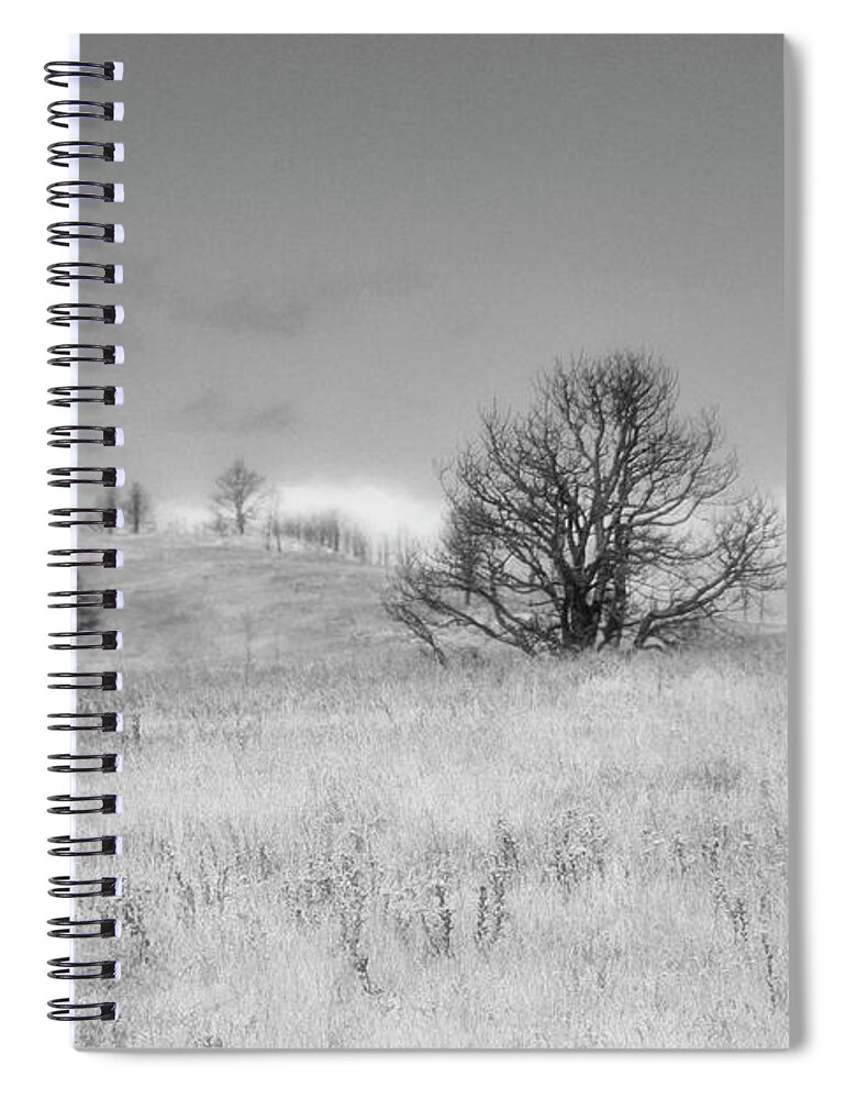 Nature Spiral Notebook featuring the photograph Custer State Park South Dakota #2 by Gerlinde Keating