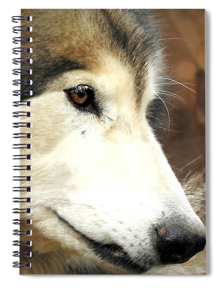 Daydreamer Spiral Notebook featuring the photograph Daydreamer by Dark Whimsy