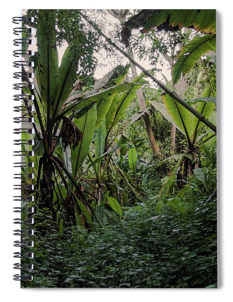 Africa Spiral Notebook featuring the photograph Deep jungle #2 by Robert Grac